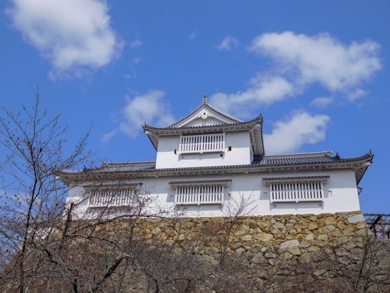 津山市_フリー