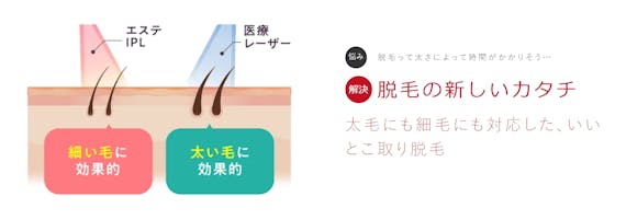 銀座カラー