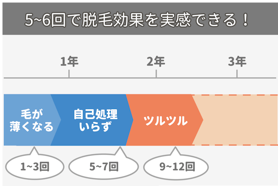 眉毛_脱毛_回数