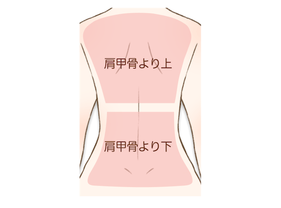 背中