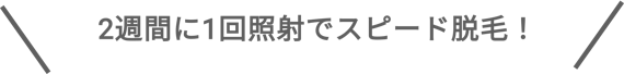 ストラッシュ