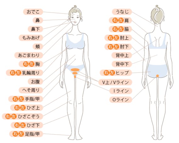 ササラ 脱毛範囲_公式