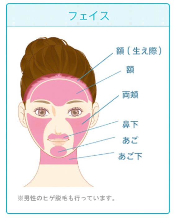 聖心美容クリニック_顔脱毛_スクリーンショット