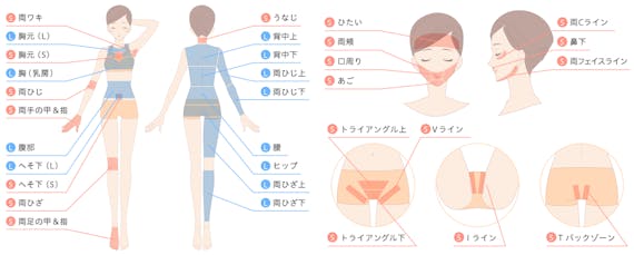 ジェイエステティック_全身脱毛範囲_公式