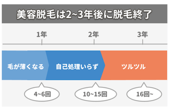 脱毛にかかる期間は 美容サロン 医療クリニックの差を回数 効果から徹底調査 知識 脱毛 おすすめの脱毛クリニック 脱毛サロン紹介メディア 脱毛にかかる期間は 美容サロン 医療クリニックの差を回数 効果から徹底調査 知識 脱毛 おすすめの脱毛クリニック 脱毛サロン紹介メディア