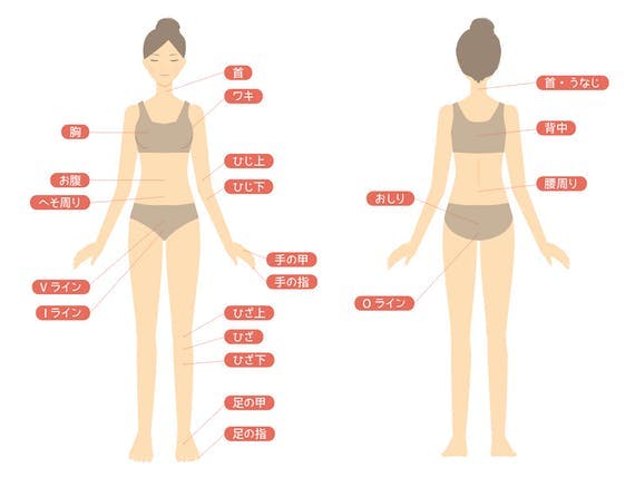 女性全身