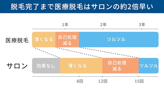回数・期間チャート