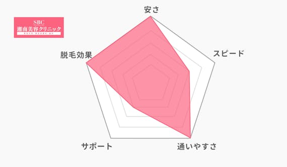 SBC_レーダーチャート